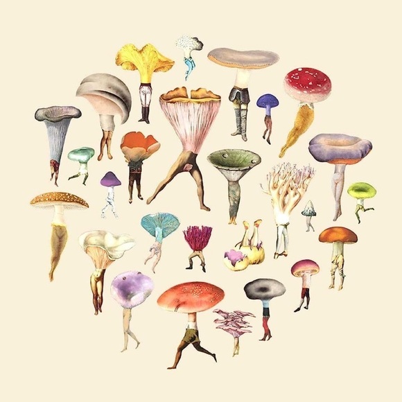 Art of Nature Mushroom Blank Greeting Card, Cream, Bundle Item - Picture 1 of 5